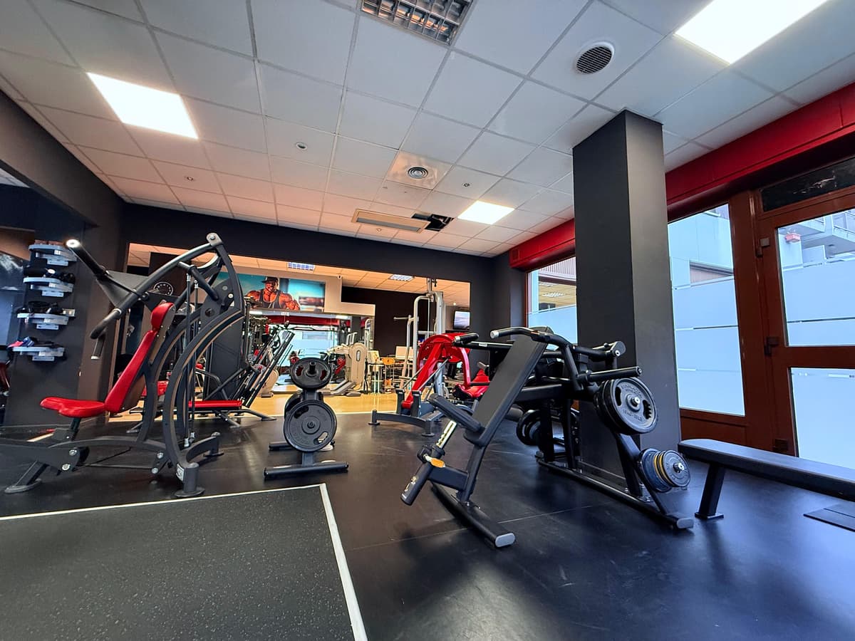 Macchinario per spalle in area strength