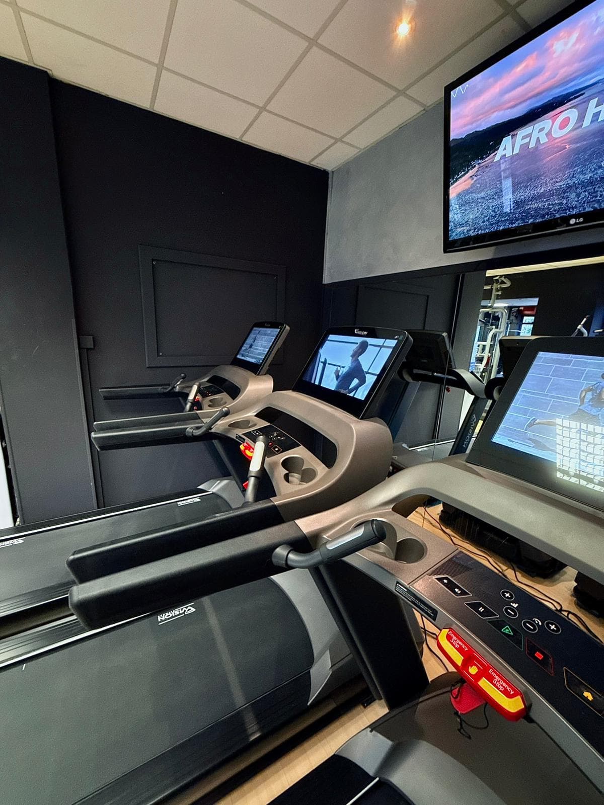 Area cardio con tapis roulant Matrix